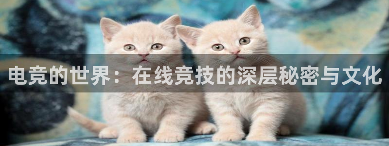 JJB电竞官方网站：电竞的世界：在线竞技的深层秘密与文化