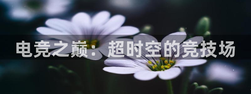JJB电竞官方网站