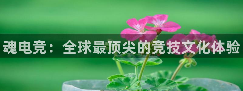 JJB电竞官方网站