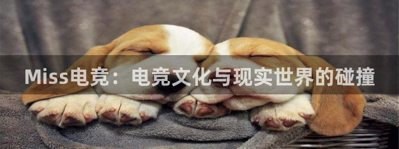 JJB电竞官
