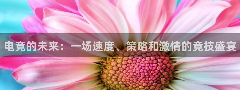 JJB电竞官：电竞的未来：一场速度、策略和激情的竞技盛宴