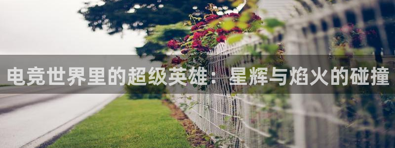 JJB电竞官：电竞世界里的超级英雄：星辉与焰火的碰撞