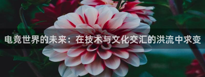 JJB电竞官方网站